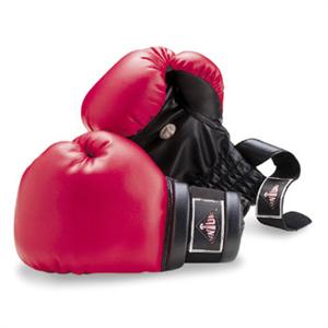 Boxing/Training Gloves
